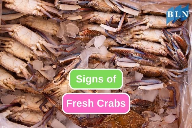 9 Ways to Recognize Signs of Fresh Crabs